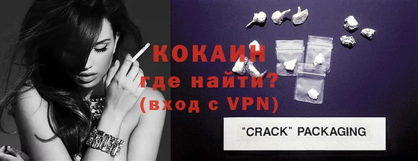 спиды Богородицк