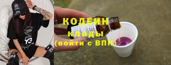 спиды Богородицк