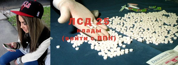 спиды Богородицк