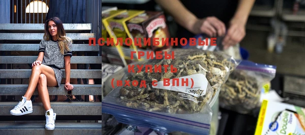 СК Богданович