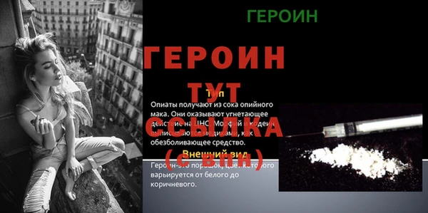 спиды Богородицк