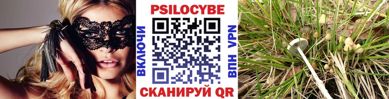 Купить закладки  Межгорье  Псилоцибиновые грибы Psilocybe 